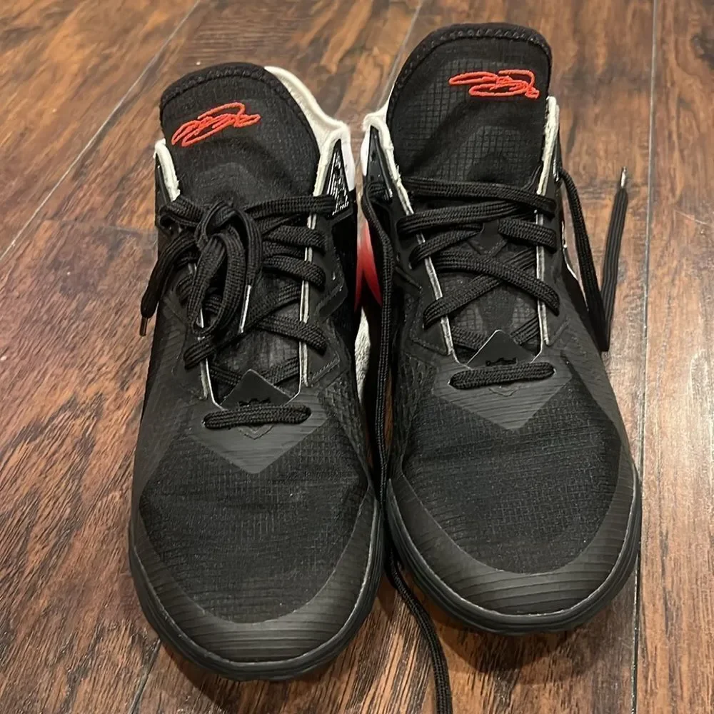 Nike Lebron XVIII 18 Low Heart Of Lion Basketball Shoes CV7562-002 Sz 10 EUC - Picture 3 of 7